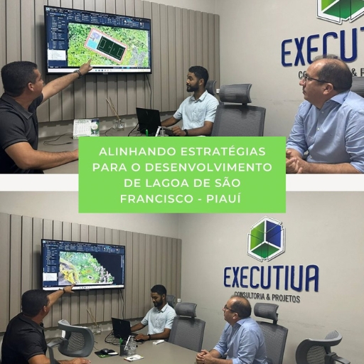 Alinhando estratégias para o desenvolvimento de Lagoa de São Francisco – Piauí